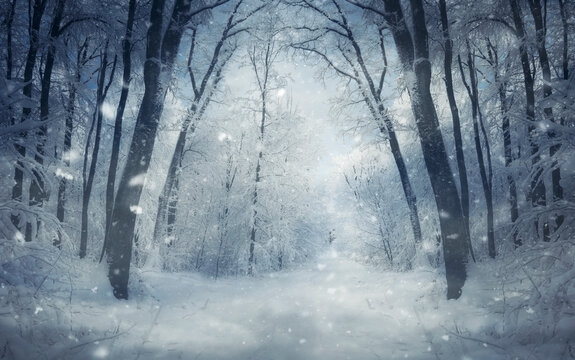 snow flakes falling in fantasy winter forest