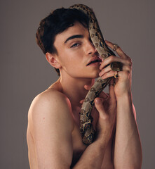 Model skin snake, face of man and grey studio background with health beauty, skincare and makeup....
