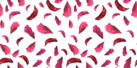 seamless watercolor pattern with  petals - rose and red petals composition on white background, stylish and transparent, perfect for wallpapers, postcards, wrappers, wedding events. 