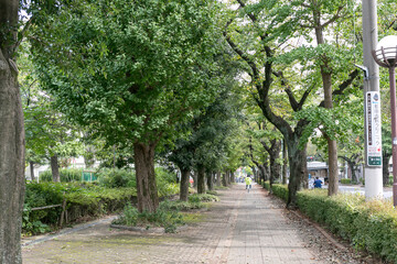 矢川上公園（東京都国立市富士見台４丁目）