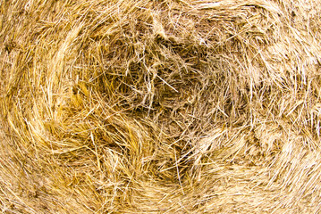 Close-up of the centre of a round bale of hay