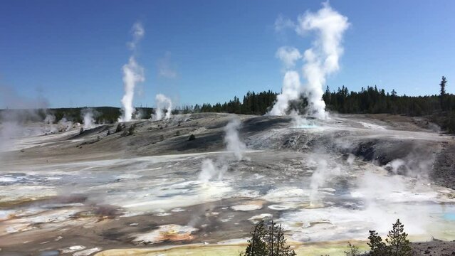 Norris Geyser Basin, Yellowstone National Park, Wyoming, USA