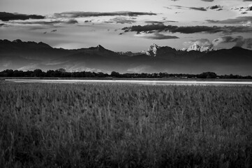 Towards the sunset. Marano Lagoon in Black and White