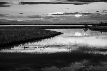 Towards the sunset. Marano Lagoon in Black and White