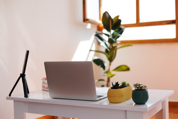 Freelancer workplace, laptop and potted plant on white table