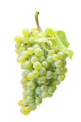 Bunch of grapes