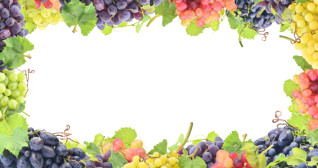 Frame of grapes