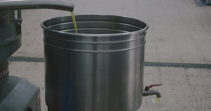 Green Olive Oil coming out of final pipe in the mill industry, extraction machine extra virgin oil liquid flow. Sicily
