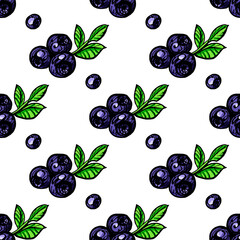 Seamless pattern with colored hand drawn bilberry. Suitable for packaging, wrappers, surface and fabric design. PNG illustration