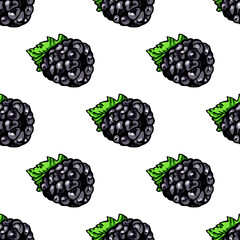 Seamless pattern with colored hand drawn blackberry. Suitable for packaging, wrappers, surface and fabric design. PNG illustration