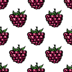 Seamless pattern with colored hand drawn raspberry. Suitable for packaging, wrappers, surface and fabric design. PNG illustration