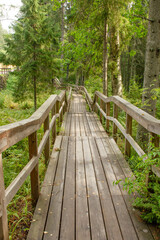 Obraz premium Vertical photo of a wooden bridge with steps and railings in a green forest