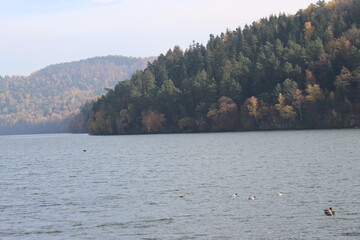 jetty at sunset beautiful lake and subdued sunlight