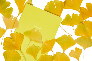 Yellow ginkgo leaves and yellow notebook isolated on white background.