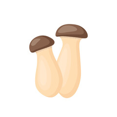 King trumpet mushroom, king oyster. Vector illustration isolated on white background.