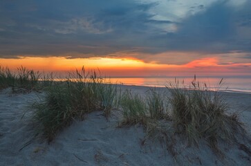 Sunset by the sea. Green grasses on the beach in Łeba in Poland in the evening scenery.