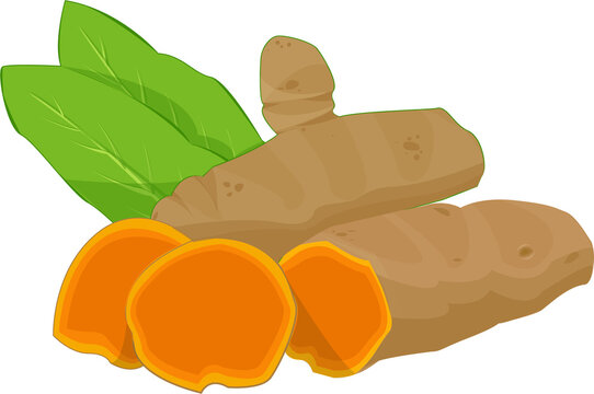 turmeric root with green leaves and orange slices clip art preview