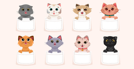 Fototapeta premium Cute cats in pocket set. Collection of pets sitting inside pocket. Funny and happy cartoon kitten characters for t-shirt design, baby printing. Vector cartoon illustration
