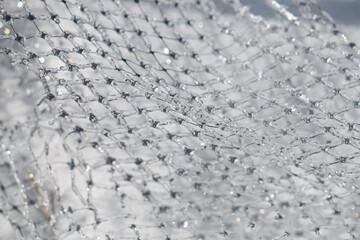 frozen mesh