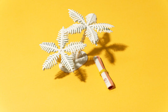 palm tree next to ticket and yellow background
