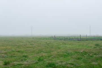 Fototapeta na wymiar rural landscape, cattle paddock on a foggy pasture