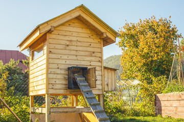 Hen coop in the garden.Sunny autumn day. © Munka