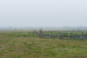 rural landscape, cattle paddock on a foggy meadow