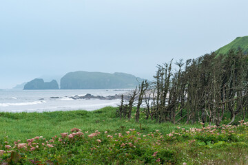 foggy coastline of Kunashir island with mountains hidden in haze