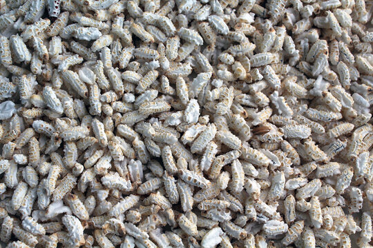 Popped Rice or Nel Pori also known as Puffed Lahi or Karthigai Pori