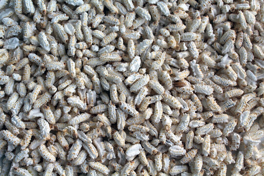 Popped Rice or Nel Pori also known as Puffed Lahi or Karthigai Pori