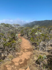 Sentier de randonnée sur le GRR2, ile de la Réunion