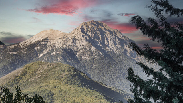 Corinthia Bilder Durchsuchen 2,058 Archivfotos, und