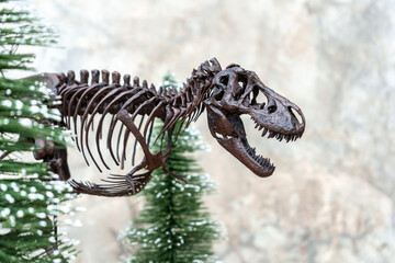Theme winter Merry christmas of dinosaur lovers. Fossil skeleton of Tyrannosaurus Rex ( t-rex ) in tree pine snow forest model background.