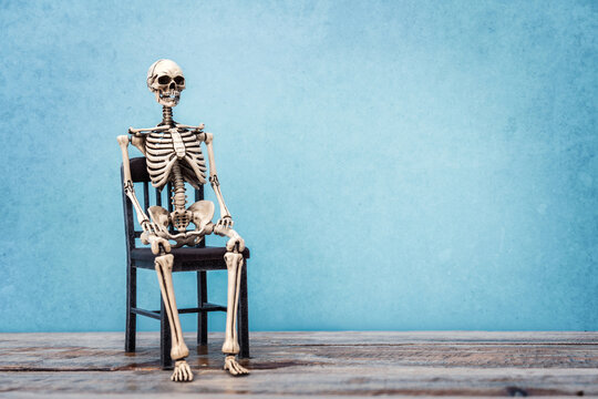 Human Skeleton sitting on a old chair with blue wall background and copy space.