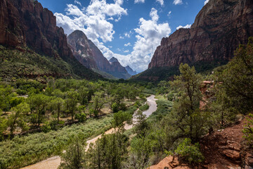 Fototapeta na wymiar The breathtaking scenery in the green canyon of Zion national park where the virgin river flows through the landscape, Utah, USA