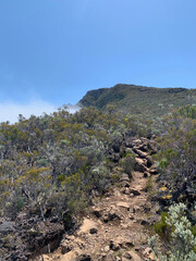Sentier entre le col du Maïdo et le Grand Bénare sur l'île de la Réunion