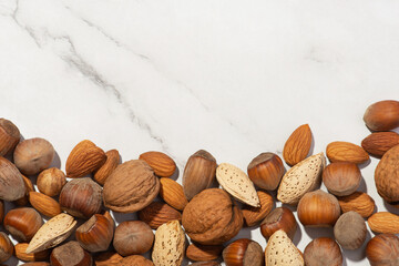 Background with different nuts on a white background