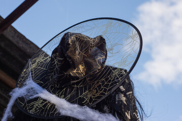 Decoración de bruja para Halloween