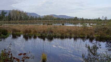 Moorgebiet in Bayern am Morgen