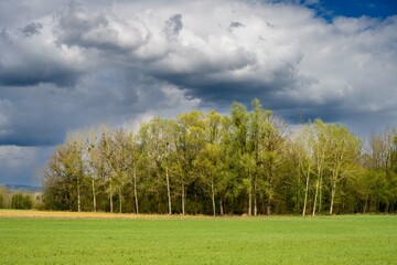 Fototapeta premium thunderstorm