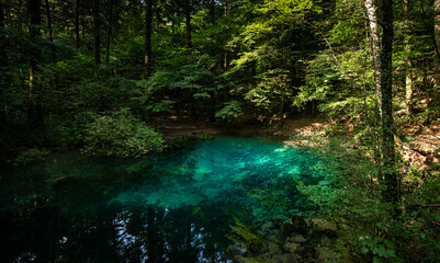 Ochiul Bei Lake with amazing turquoise water color in the middle of a forest. Nature landscape landmark from Romania.