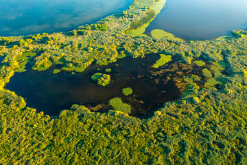Aerial view of Danube Delta. Beautiful aerial landscape with the lakes and rivers from Danube Delta...