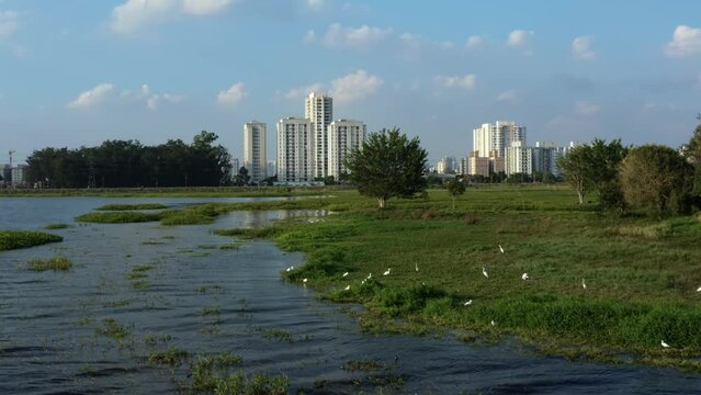 Aerial drone rotating shot from the man-made Guarapiranga Reservoir in the south of S&atilde;o Paulo, Brazil with skyscrapers in the background and a flock of egrets resting on the coast on a fall evening.