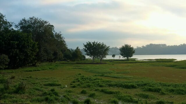 Beautiful dolly-in rising shot following a small bird flying over marshes and trees revealing the man-made Guarapiranga Reservoir in the southern part of S&atilde;o Paulo, Brazil on a fall evening.
