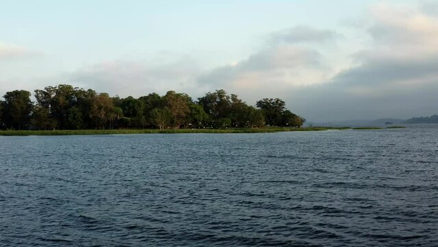 Dolly-in aerial drone wide shot of a flock of white egrets flying together in the Guarapiranga Reservoir in the southern part of S&atilde;o Paulo, Brazil with calm waters and trees during golden hour.