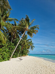 Ein Strand auf den Malediven mit vielen Palmen, Sonnenliegen, einer Schaukel und dem Meer bei...