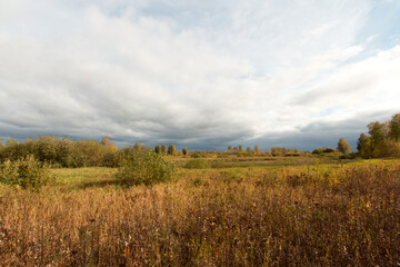 Dramatic landscape, late gloomy autumn, swamp with wild, brown grass, cloudy weather with a stormy sky, with gray clouds in the blue sky.