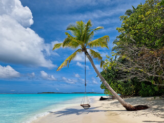 Eine Schaukel hängt an einer Palme am Strand, mit dem kristallklarem Wasser des Meer auf einer...