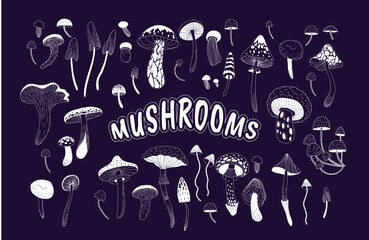 Set of various mystical mushrooms. Hippie magic boho wall art background. Psychedelic vector illustration. Magic and boho texture. Hand drawn style