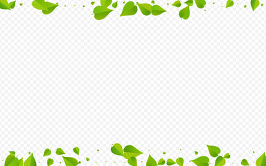 Mint Leaves Wind Vector Transparent Background